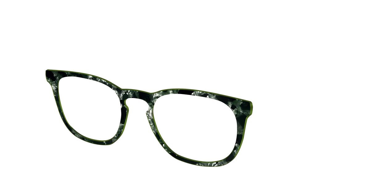 The Olive Pearl Tortoise