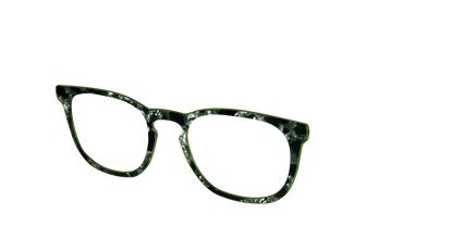 The Olive Pearl Tortoise