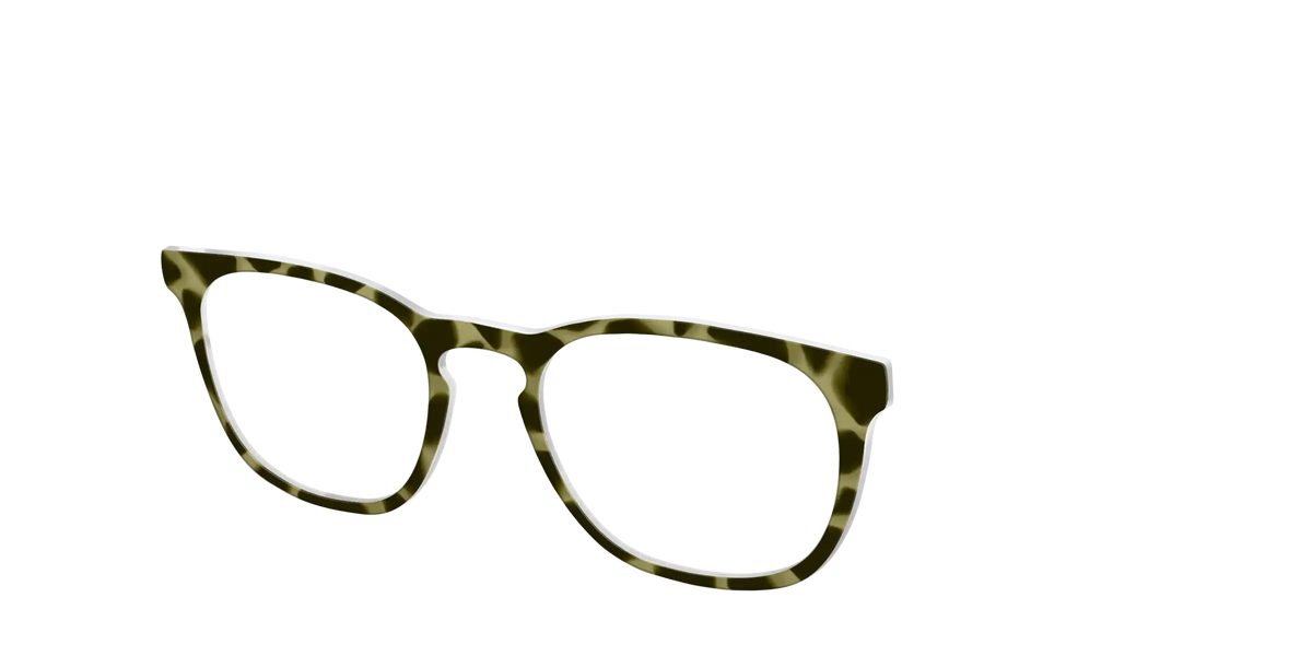 The Olive Tortoise
