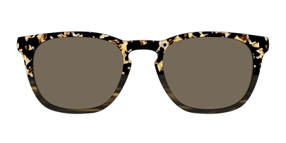 The Polarized Caramel Tortoise Horn Split Sun Top
