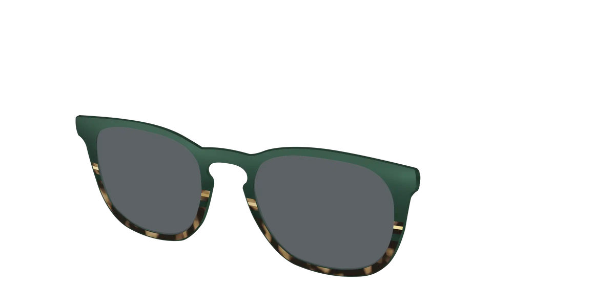 The Polarized Spruce Tortoise Sun Top