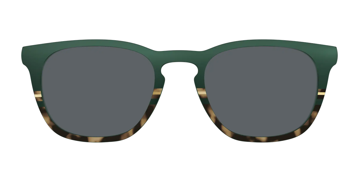 The Polarized Spruce Tortoise Sun Top