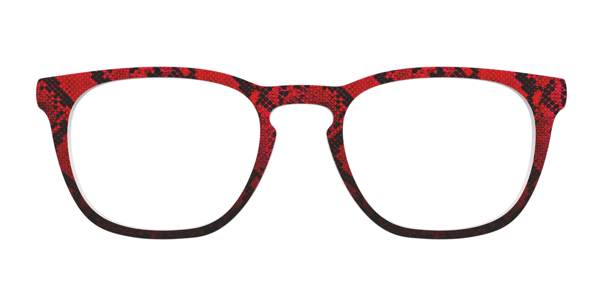 The Statement Snakeskin
