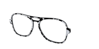 The Black & White Pearl Tortoise