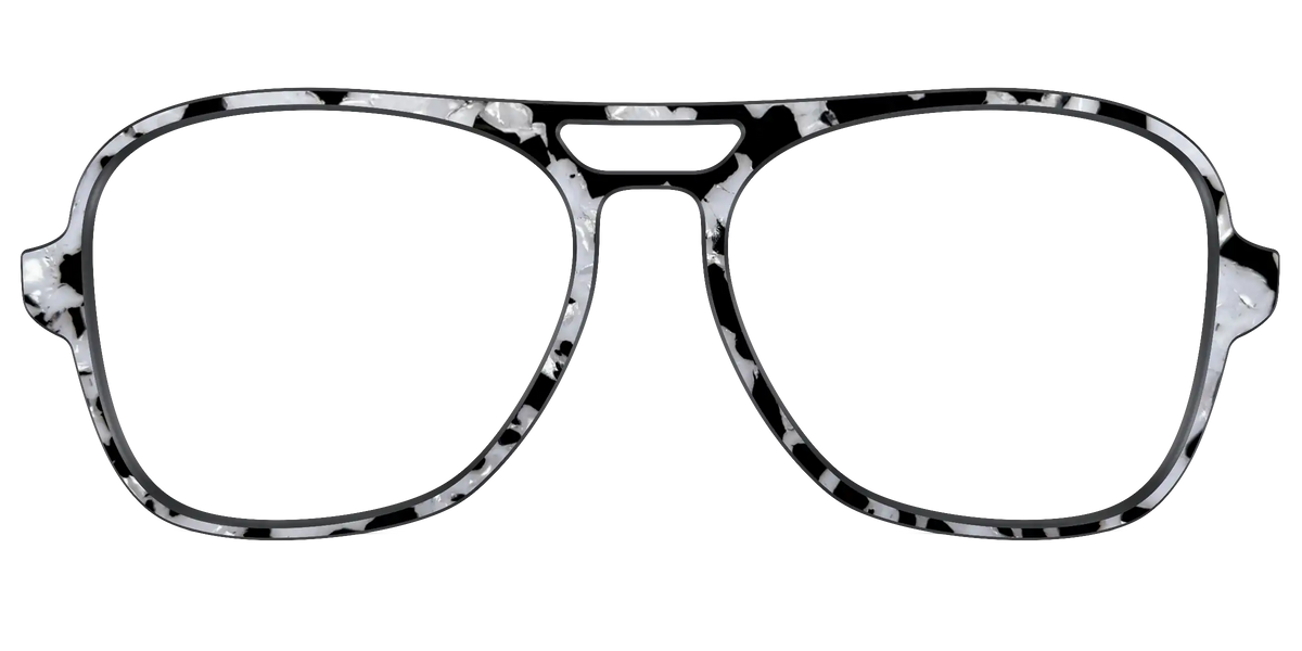 The Black & White Pearl Tortoise