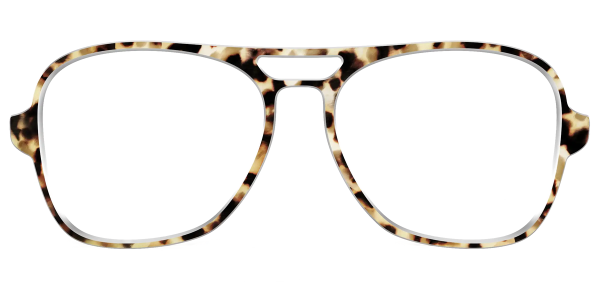 The Brown Sugar Tortoise