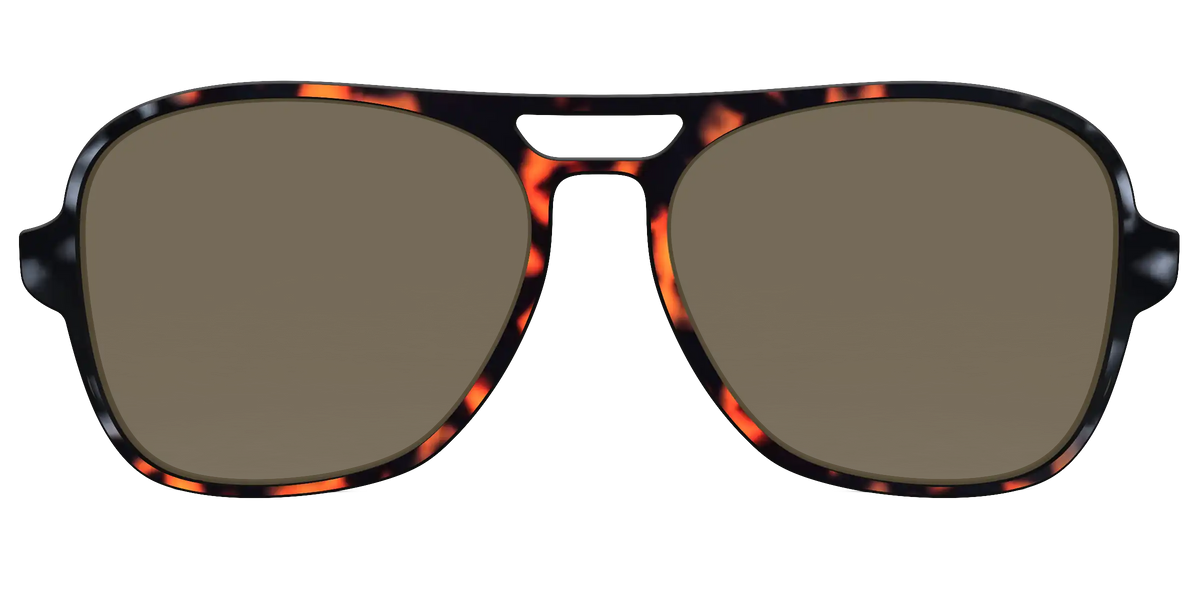 The Polarized Gray & Amber Tortoise Sun Top