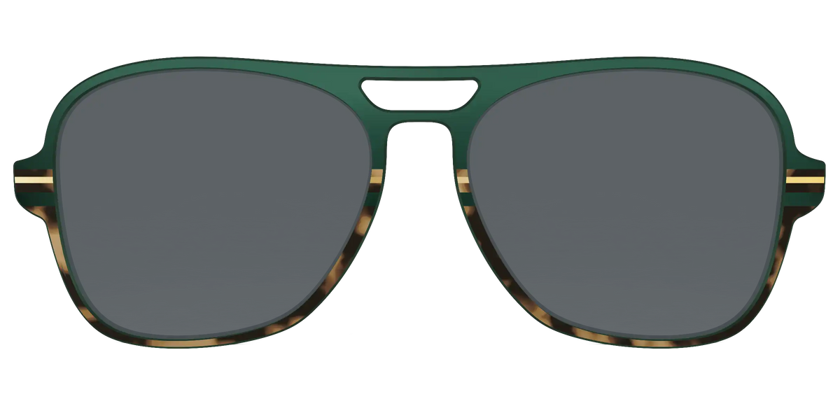 The Polarized Spruce Tortoise Sun Top
