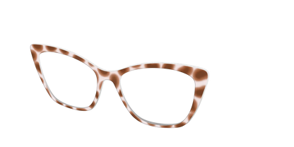 The Caffé Tortoise
