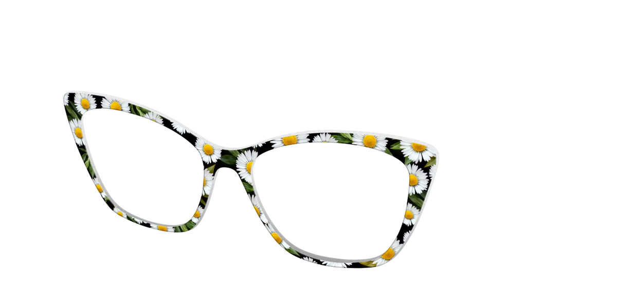 The Delicate Daisies