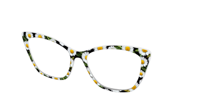 The Delicate Daisies