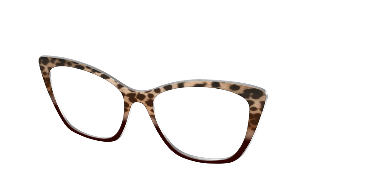 The Jungle Cat Tortoise