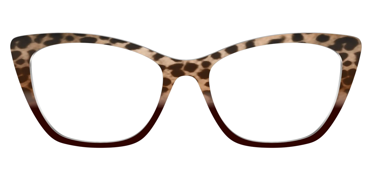 The Jungle Cat Tortoise