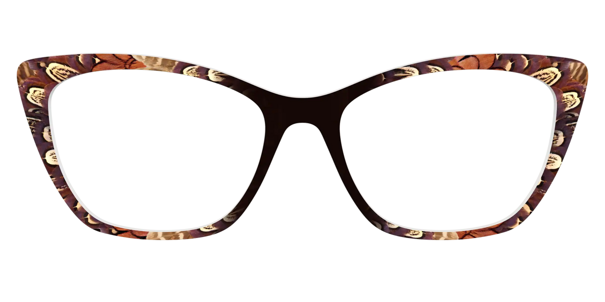 The Pheasant Feathers