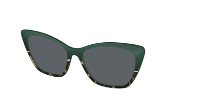 The Polarized Spruce Tortoise Sun Top