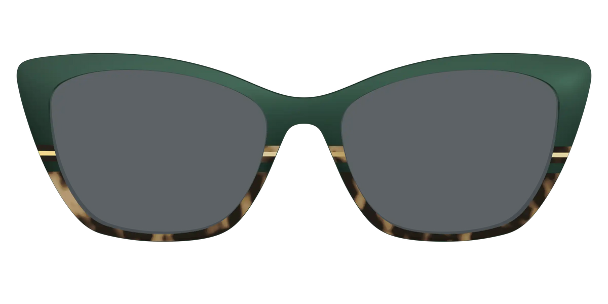 The Polarized Spruce Tortoise Sun Top