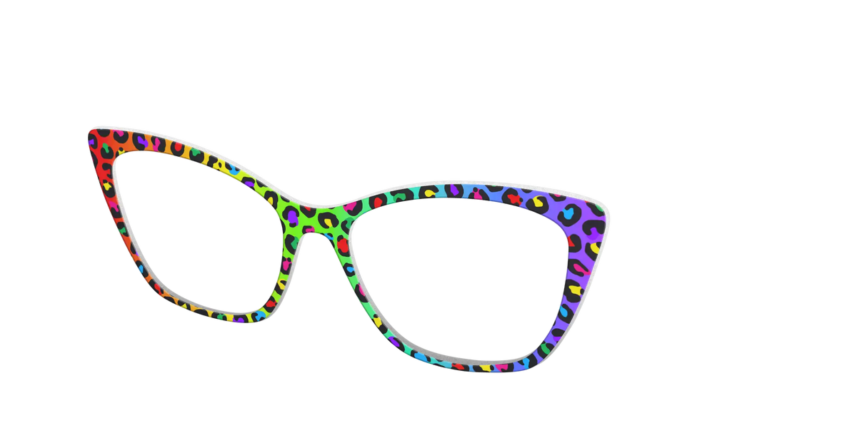 The Rainbow Cheetah