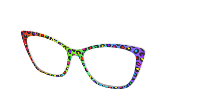 The Rainbow Cheetah