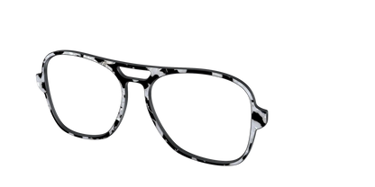 The Black & White Pearl Tortoise