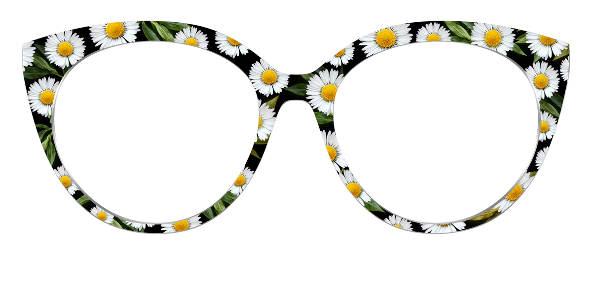 The Delicate Daisies