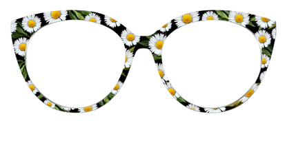 The Delicate Daisies