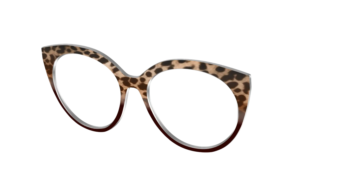 The Jungle Cat Tortoise
