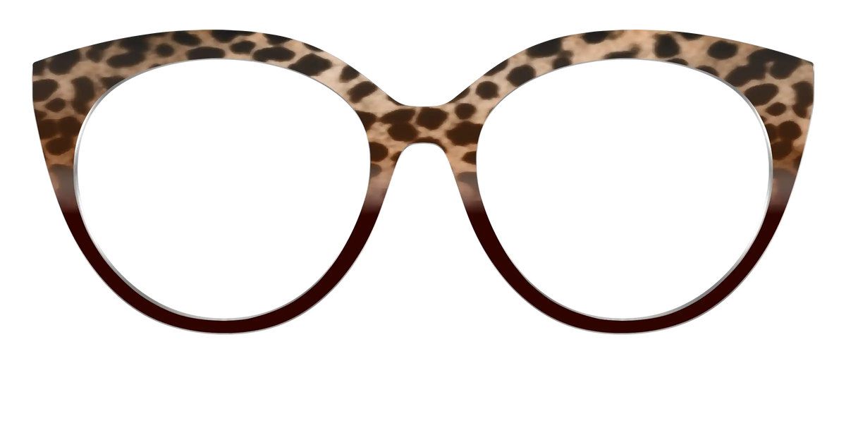 The Jungle Cat Tortoise