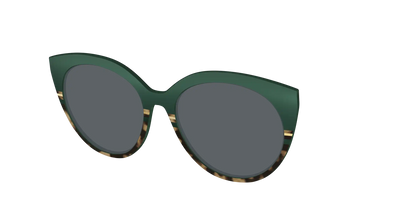The Polarized Spruce Tortoise Sun Top